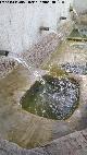 Fuente del Balneario