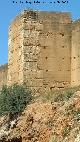 Muralla de Niebla. Torre Sur IX