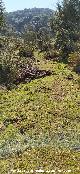 Ca�ada Real de Ja�n a Granada