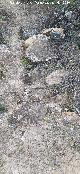 Empedrado de Ca�ada Canenilla