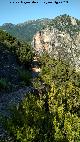 Caada del Sabinar