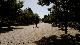El Parque