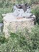 Noria de San Marcos