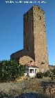 Torre de Perdigones La Tortilla