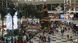 Nevada Shopping.