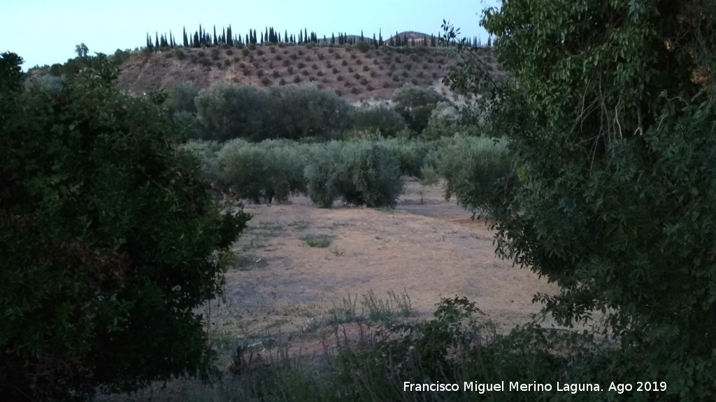 Casera de los Naranjos - Casera de los Naranjos. Camino de cipreses