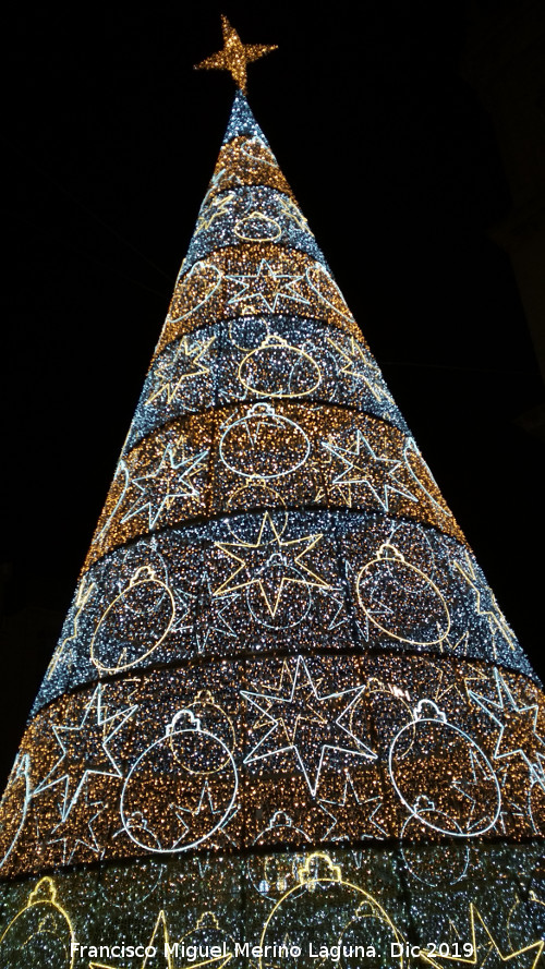 Plaza de Santa Mara - Plaza de Santa Mara. Navidad