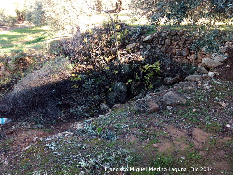 Alberca del Cortijo de Julio - Alberca del Cortijo de Julio. 