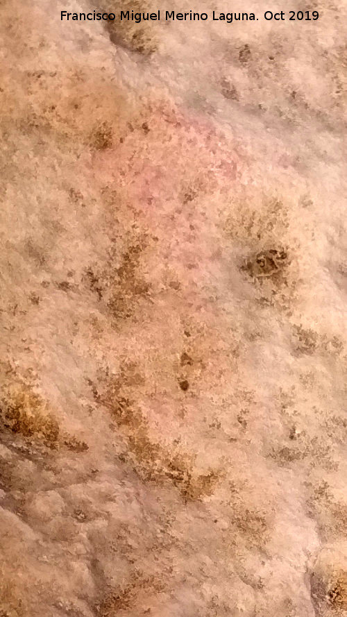 Pinturas rupestres de la Cueva Escondida de los Caones - Pinturas rupestres de la Cueva Escondida de los Caones. Pintura en rojo