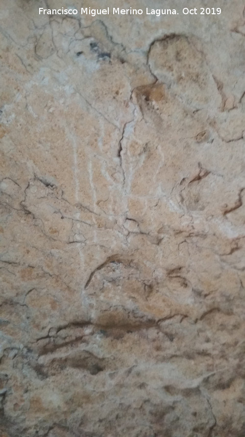 Pinturas rupestres de la Cueva Escondida de los Caones - Pinturas rupestres de la Cueva Escondida de los Caones. Araazos en paralelo