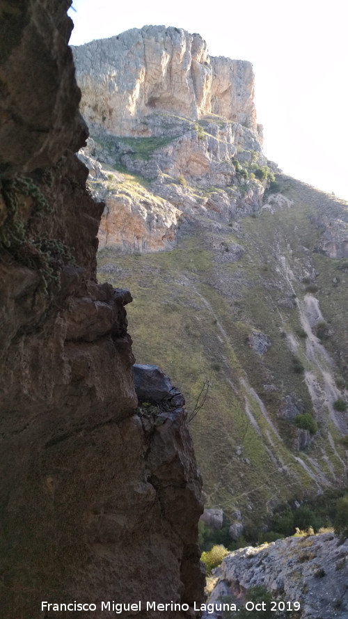 Pinturas rupestres de la Cueva Escondida de los Caones - Pinturas rupestres de la Cueva Escondida de los Caones. Vistas