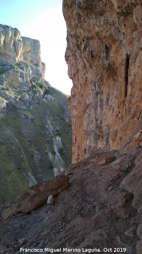 Pinturas rupestres del Abrigo de los Caones IV - Pinturas rupestres del Abrigo de los Caones IV. 