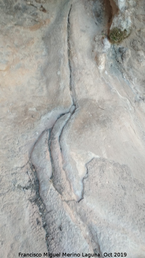 Pinturas rupestres del Abrigo de los Caones IV - Pinturas rupestres del Abrigo de los Caones IV. Canalizacin