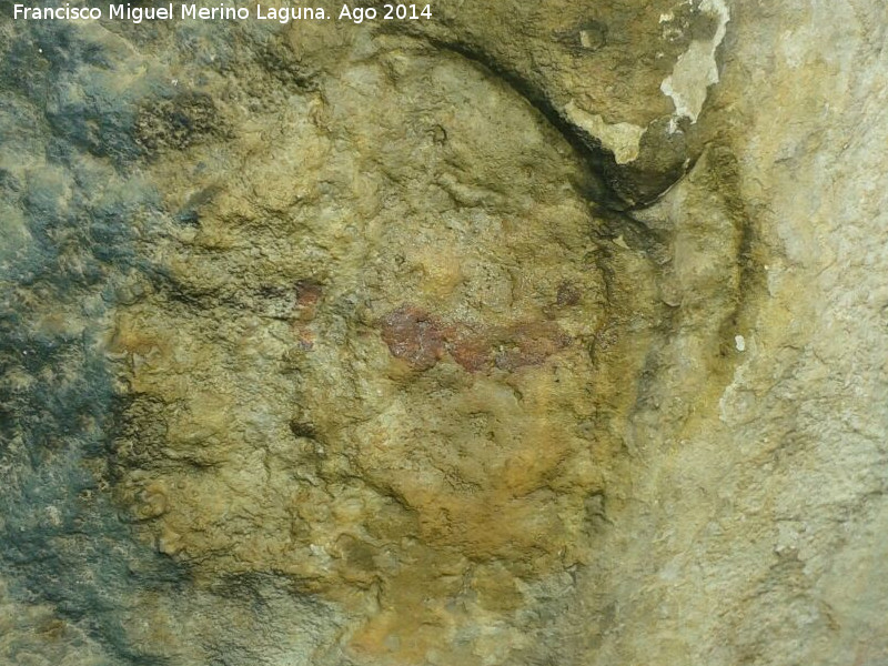 Pinturas rupestres del Poyo de los Machos - Pinturas rupestres del Poyo de los Machos. Barra o conejo