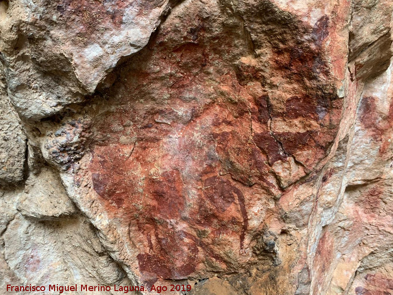 Pinturas rupestres de la Cueva de Ro Fro - Pinturas rupestres de la Cueva de Ro Fro. 