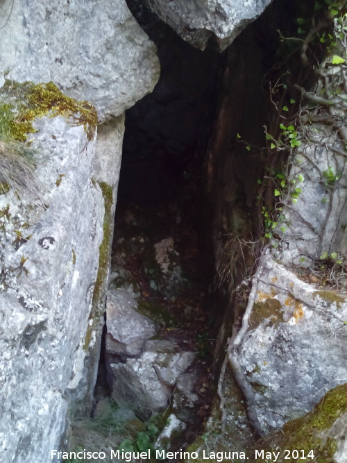 Cueva del Puerto de la Senda - Cueva del Puerto de la Senda. Entrada