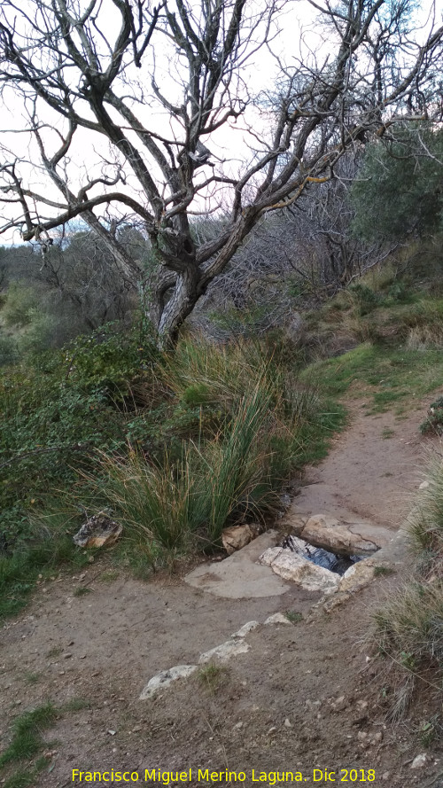 Fuente del Alamillo - Fuente del Alamillo. 