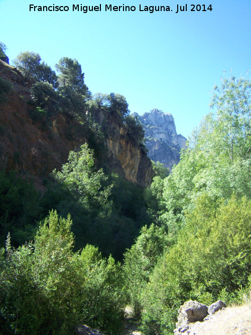 Cerrada del Puente de Piedra - Cerrada del Puente de Piedra. 