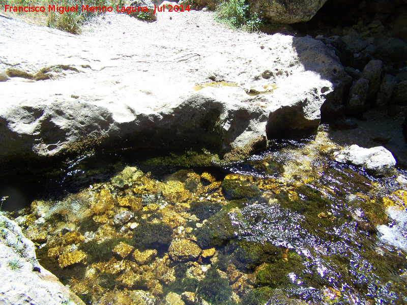 Nacimiento de Aguasnegras - Nacimiento de Aguasnegras. 