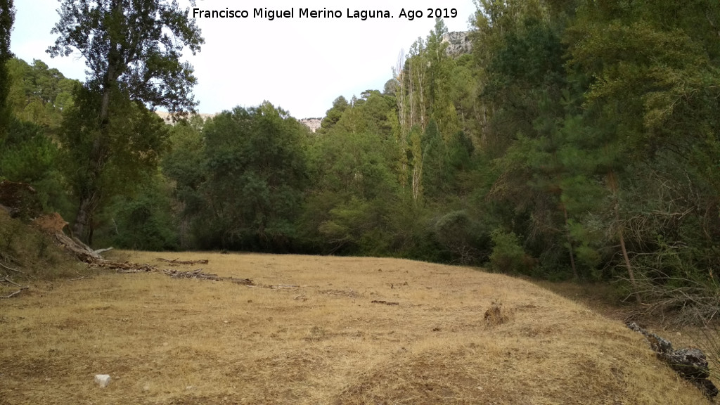 Molino de la Parra - Molino de la Parra. Bancal