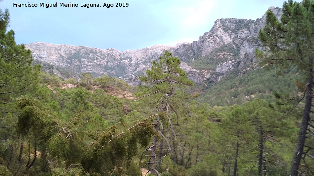 Molino de la Parra - Molino de la Parra. Vistas a un nivel superior