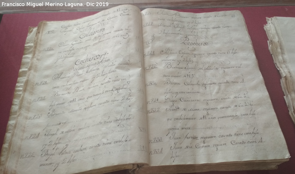Historia de Jan. Siglo XVIII - Historia de Jan. Siglo XVIII. Libro de legos del Catastro del Marqus de la Ensenada. 1753. Archivo Histrico de Jan