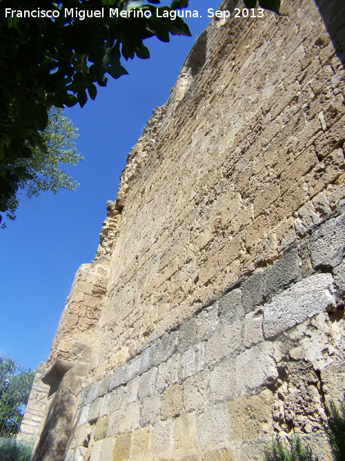 Iglesia de Santo Domingo - Iglesia de Santo Domingo. Lateral