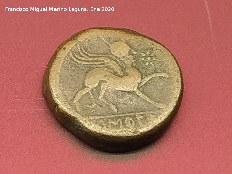 C�stulo - C�stulo. Unidad de C�stulo. Reverso Esfinge alada. Museo Provincial de Ja�n