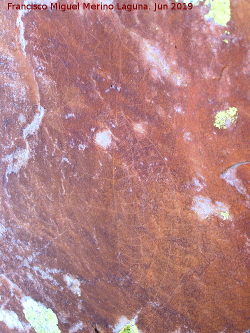 Pinturas rupestres y grabados del Poyo del Medio de la Cimbarra I - Pinturas rupestres y grabados del Poyo del Medio de la Cimbarra I. Grabados