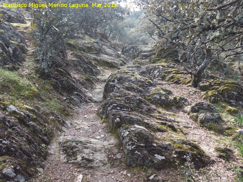 Cordel de Vllora - Cordel de Vllora. 