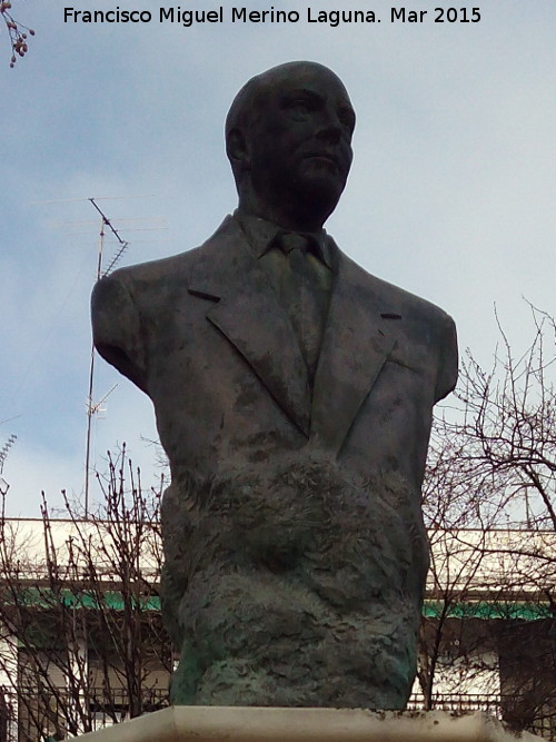 Monumento a Jos Sols Ruiz - Monumento a Jos Sols Ruiz. Busto