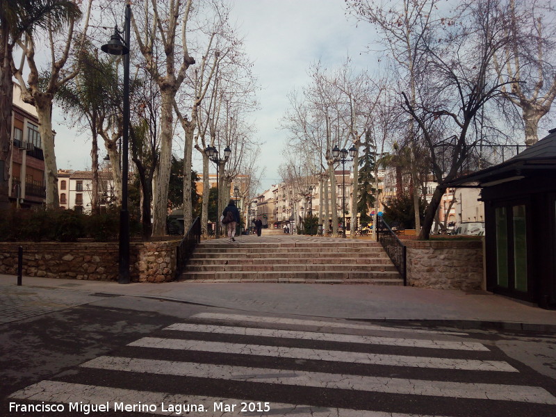 Paseo del Coso - Paseo del Coso. 