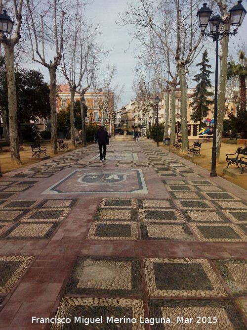 Paseo del Coso - Paseo del Coso. 