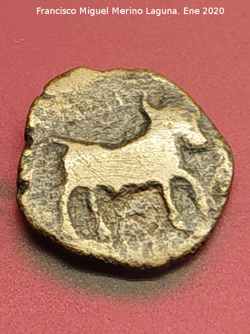 Obulco - Obulco. Moneda Divisor de Obulco. Museo Arqueol�gico Provincial de Ja�n