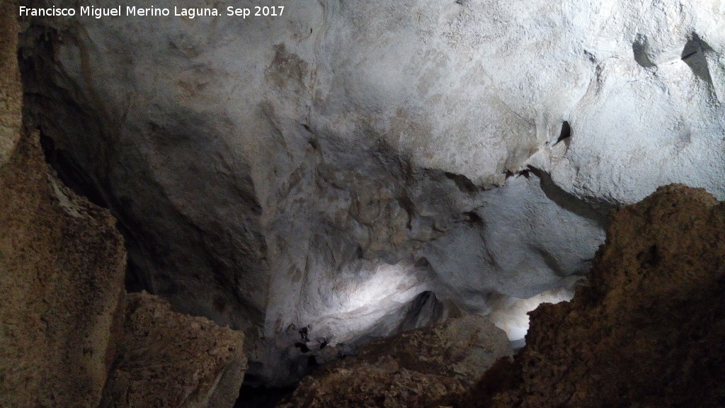 Cueva de los Murcilagos - Cueva de los Murcilagos. 