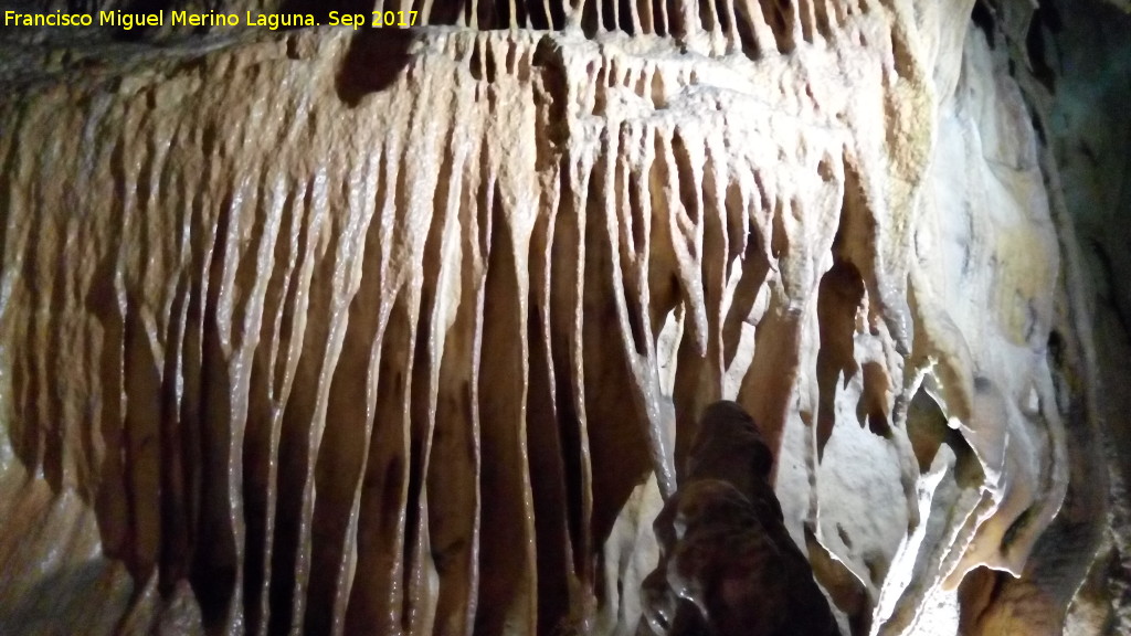 Cueva de los Murcilagos - Cueva de los Murcilagos. 