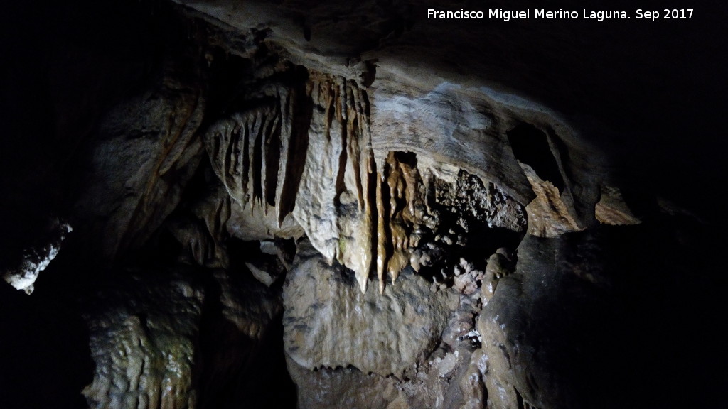 Cueva de los Murcilagos - Cueva de los Murcilagos. 