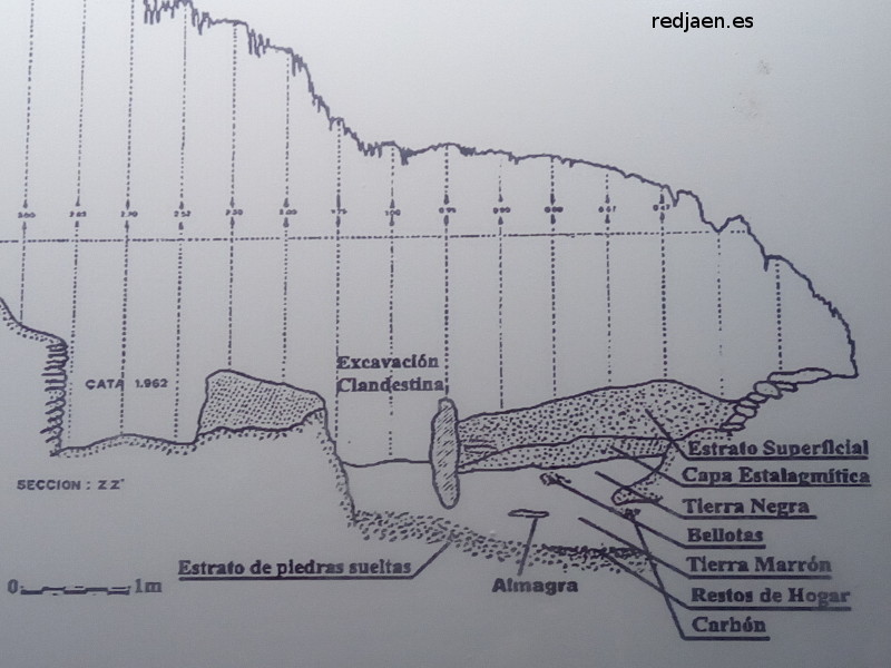 Cueva de los Murcilagos - Cueva de los Murcilagos. Excavacin de 1973