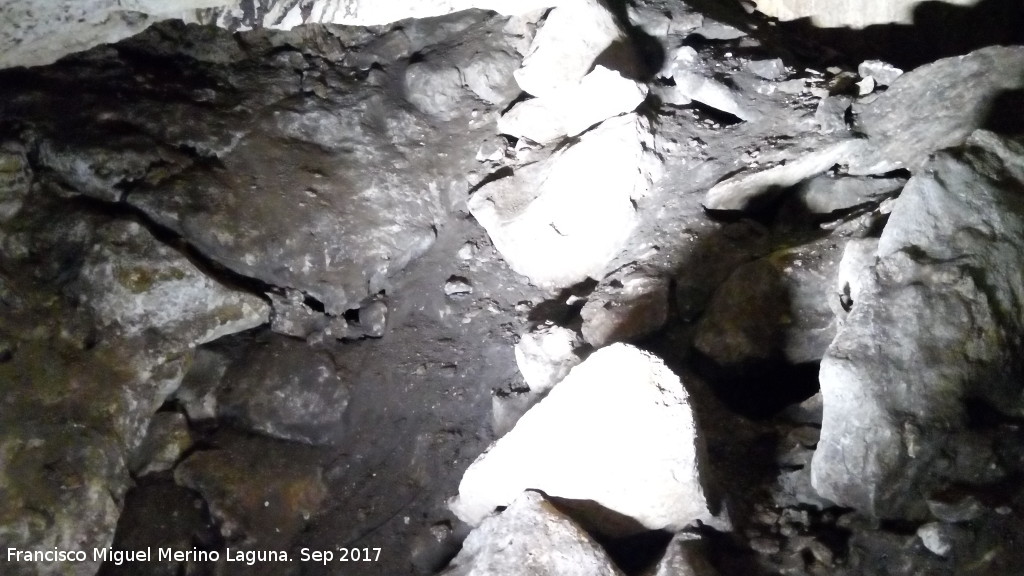 Cueva de los Murcilagos - Cueva de los Murcilagos. Zona de excavacin