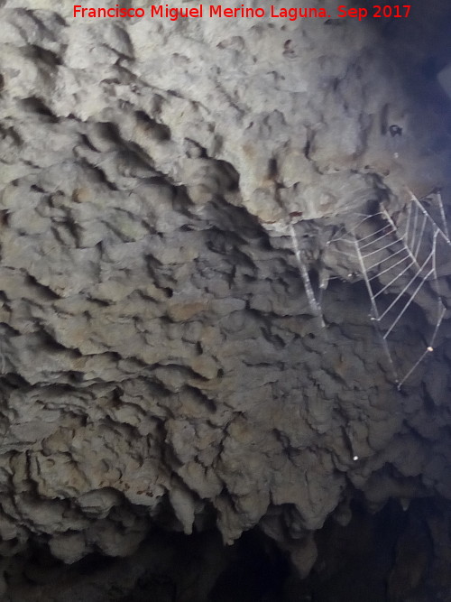 Cueva de los Murcilagos - Cueva de los Murcilagos. Telaraa