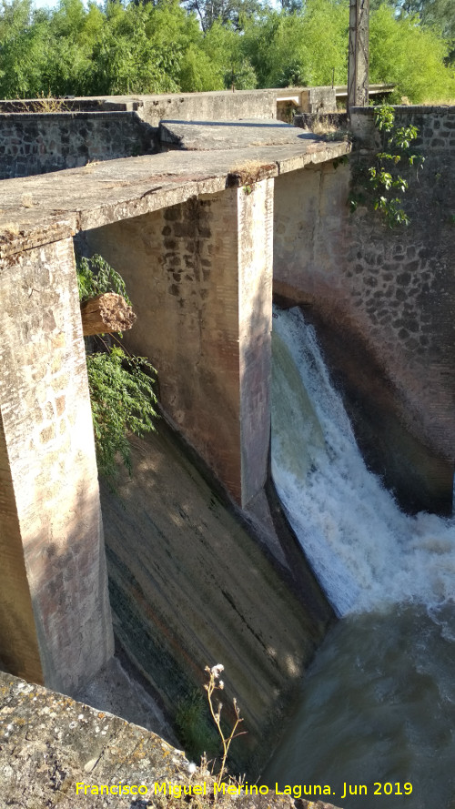 Presa de Casas Nuevas - Presa de Casas Nuevas. Troncos atrancando un aliviadero