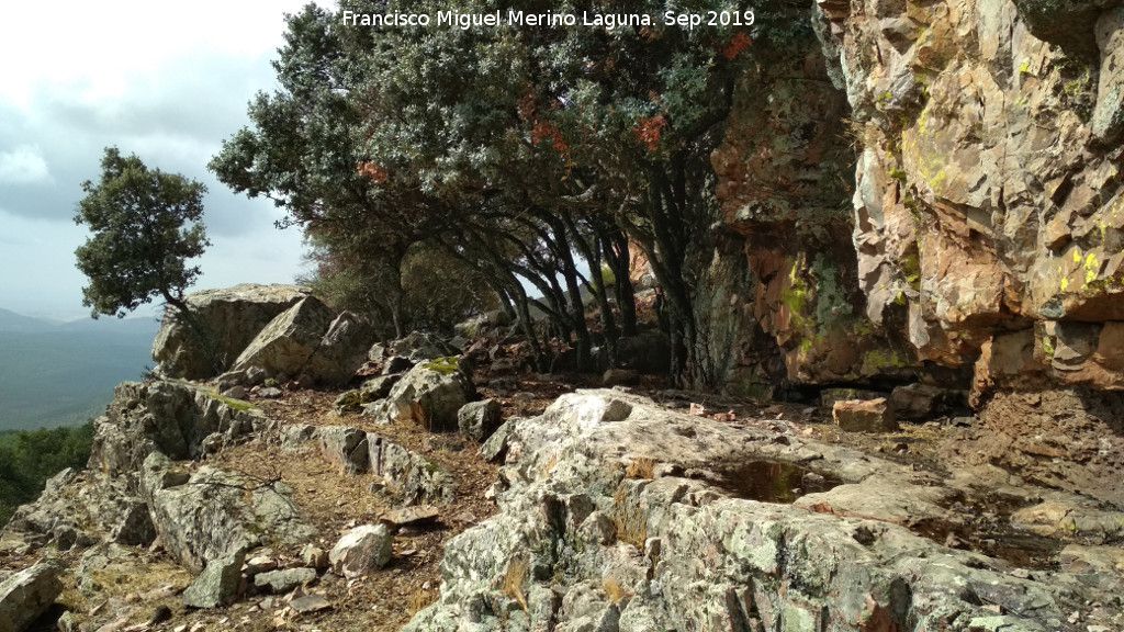 Pinturas rupestres de la Graja de Miranda I - Pinturas rupestres de la Graja de Miranda I. Abrigo