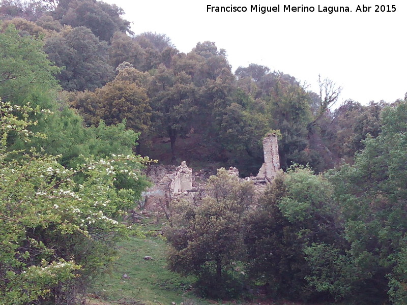 Cortijo del Prado de los Potros - Cortijo del Prado de los Potros. 