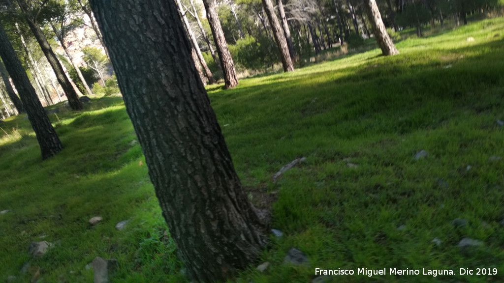 Palacio Musulmn de Santa Catalina - Palacio Musulmn de Santa Catalina. Zona o meseta del palacio