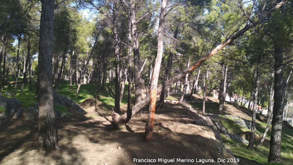 Palacio Musulmn de Santa Catalina - Palacio Musulmn de Santa Catalina. Zona del palacio