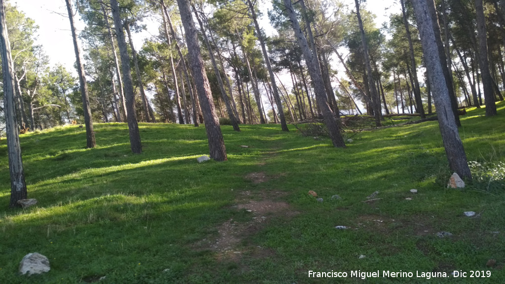 Palacio Musulmn de Santa Catalina - Palacio Musulmn de Santa Catalina. Zona del palacio