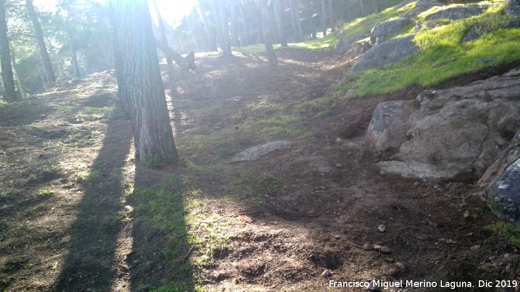 Palacio Musulmn de Santa Catalina - Palacio Musulmn de Santa Catalina. Zona del palacio