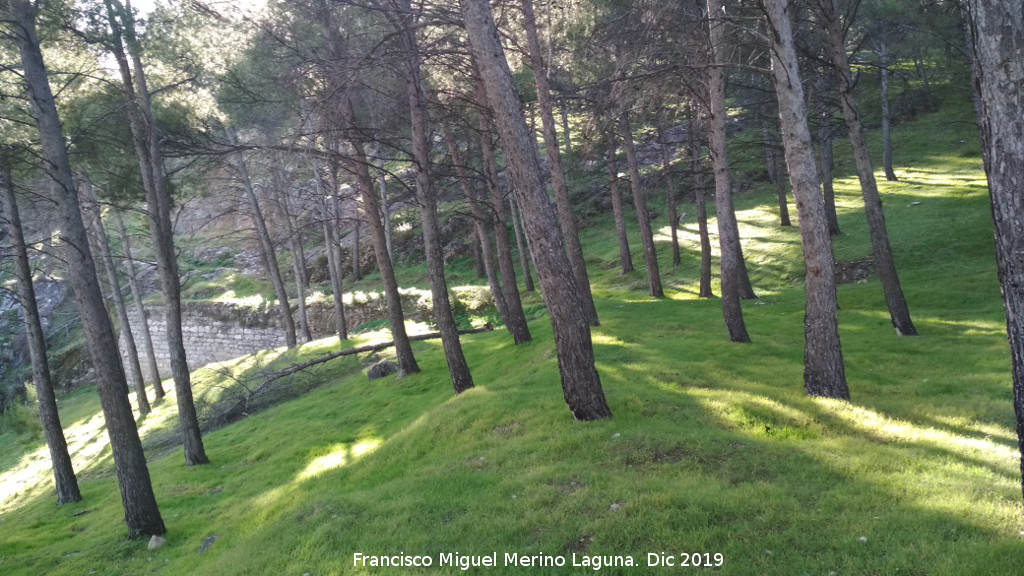 Palacio Musulmn de Santa Catalina - Palacio Musulmn de Santa Catalina. Zona del palacio