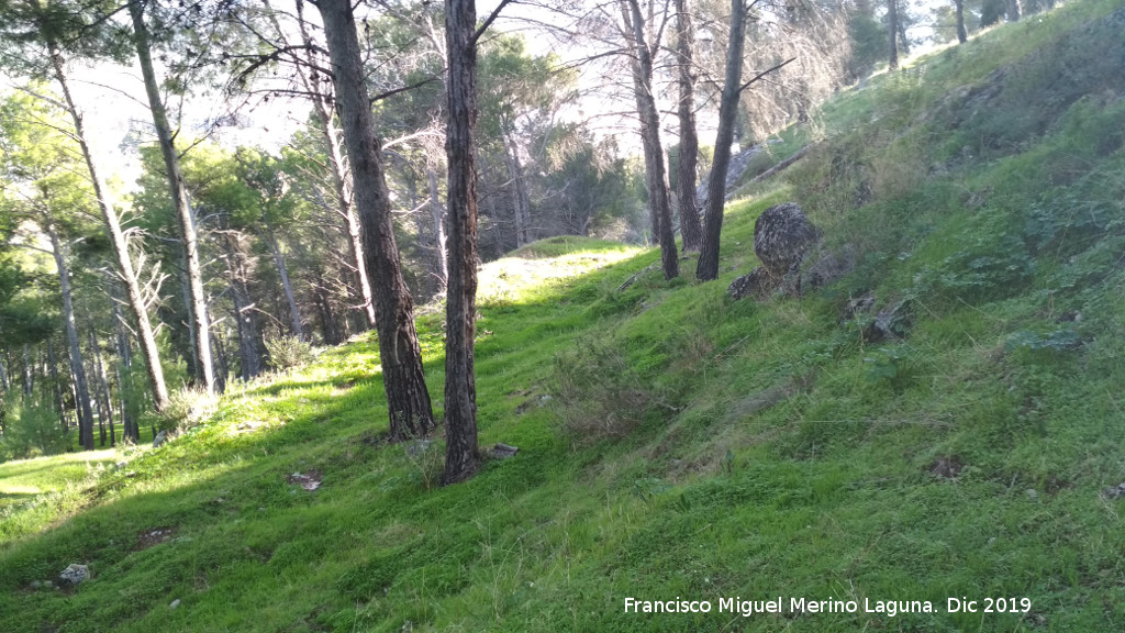 Palacio Musulmn de Santa Catalina - Palacio Musulmn de Santa Catalina. Zona alta