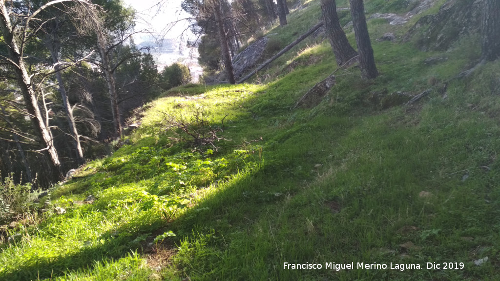 Palacio Musulmn de Santa Catalina - Palacio Musulmn de Santa Catalina. Zona alta